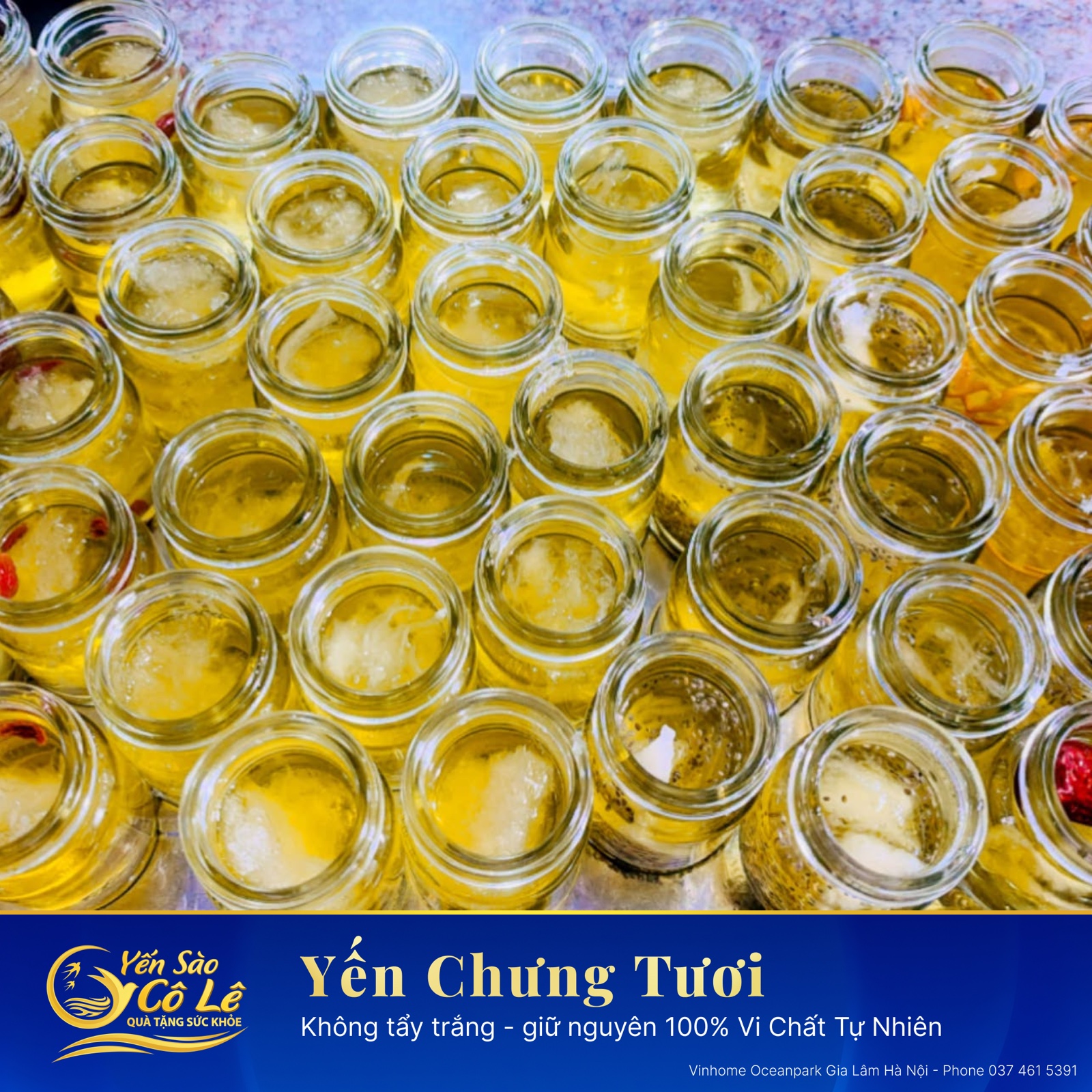 Yến Trẻ Em & Yến Chưng Đường Phèn / Lá Dứa / Hạt Chia (Hũ 70ml)