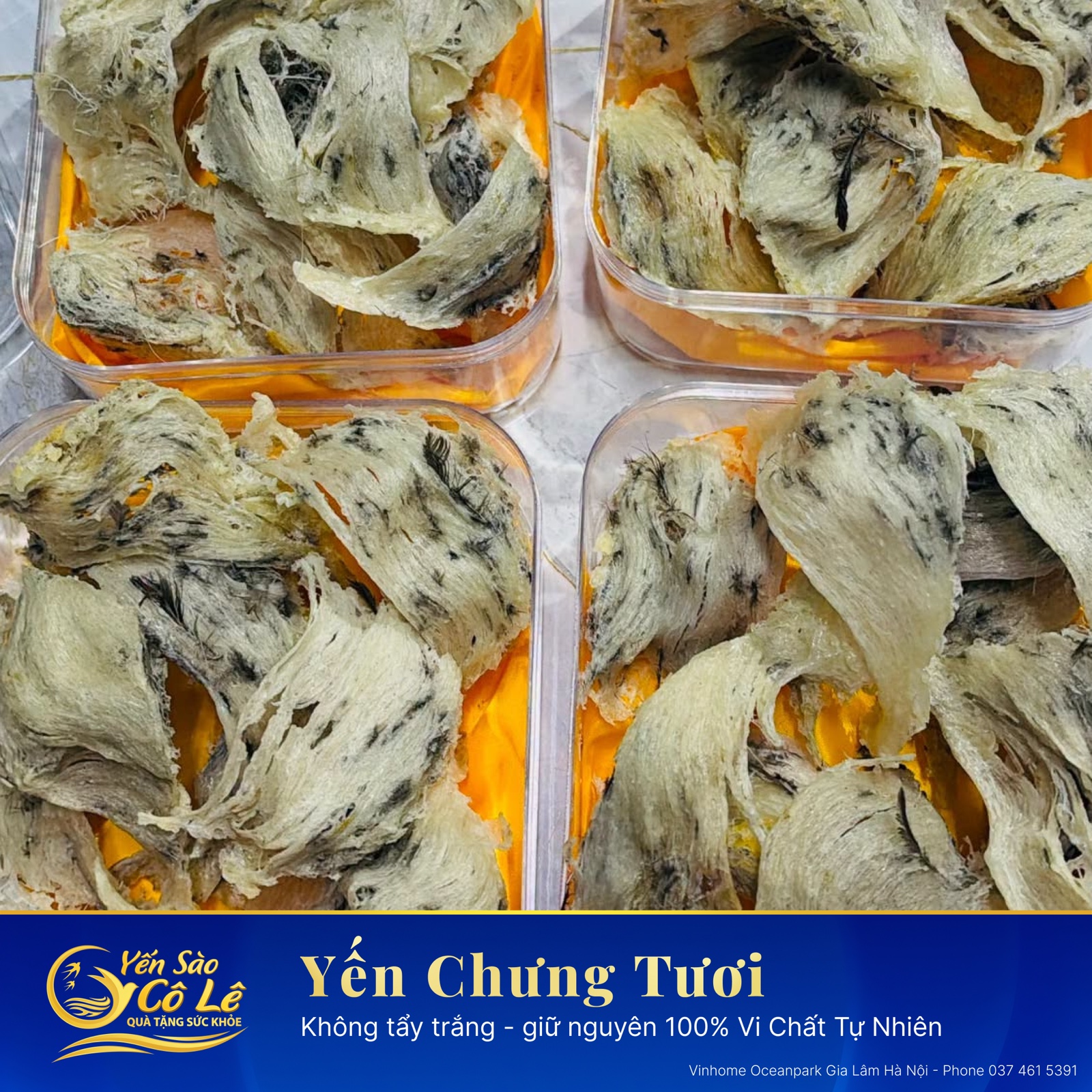 Yến Tinh Chế Xơ Mướp & Yến Thô Bể 100g