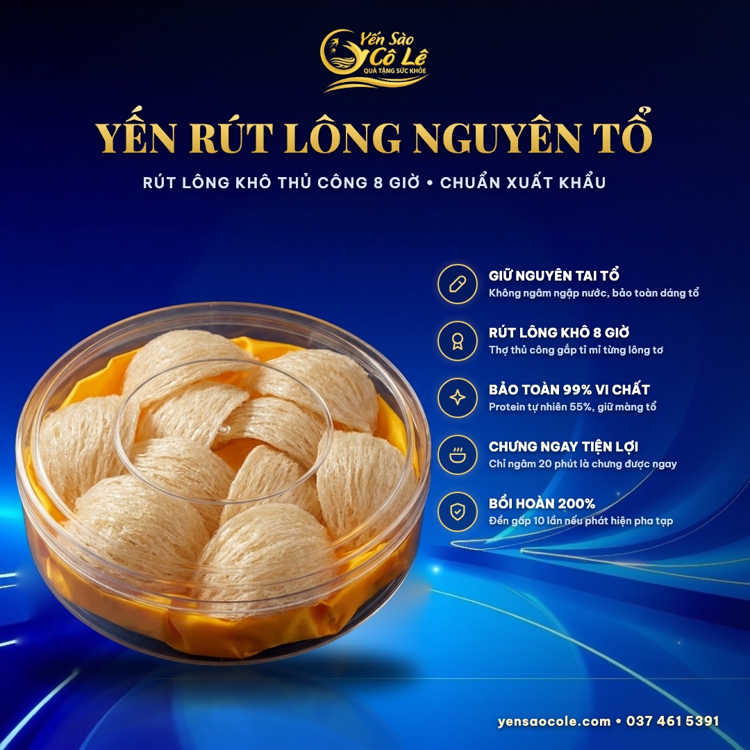 Yến Tinh Chế Loại VIP Cô Lê (100g)