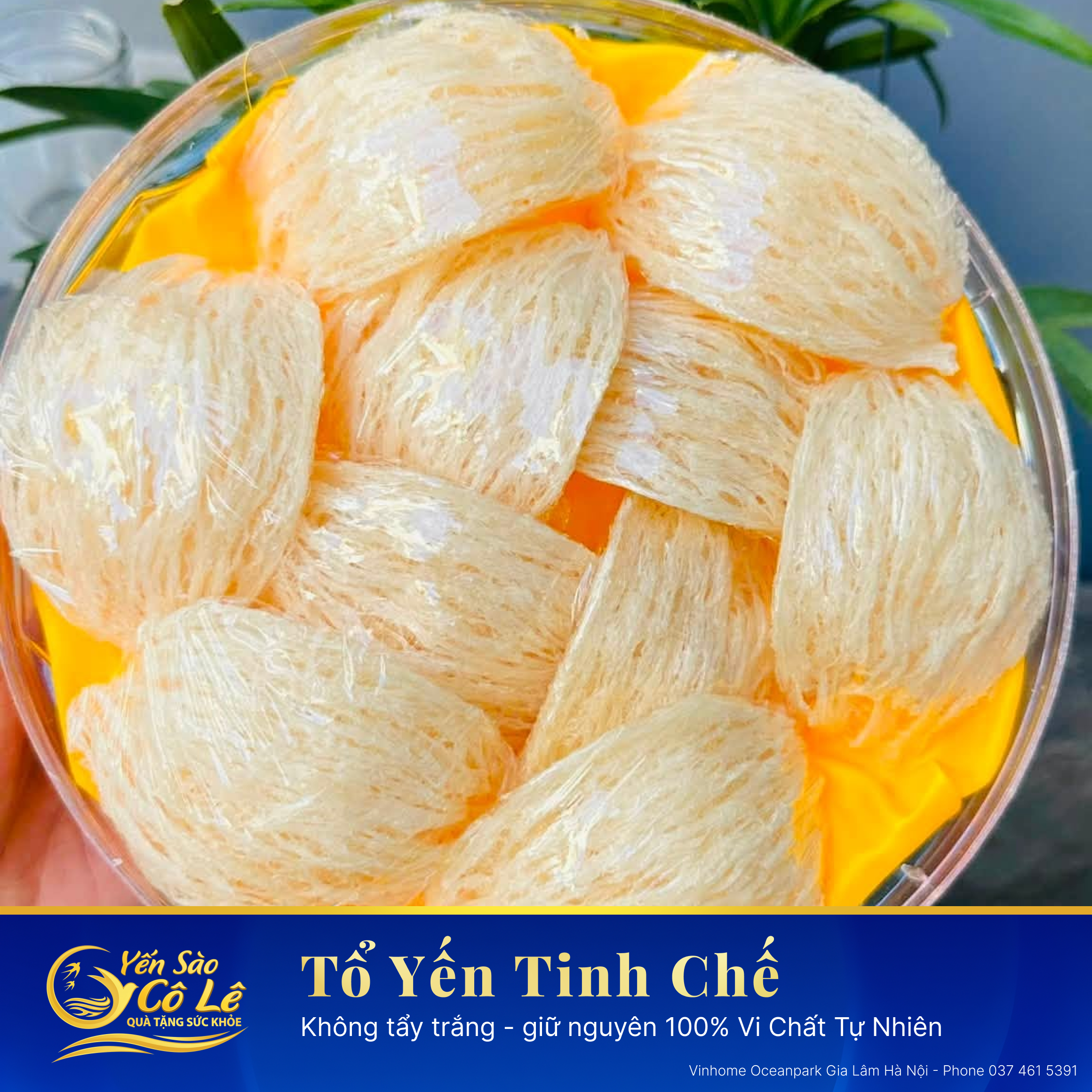 Yến Tinh Chế Cô Lê